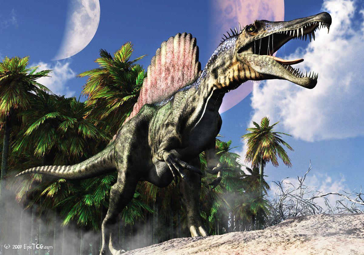 Spinosaurus Wallpapers Wallpaper Cave