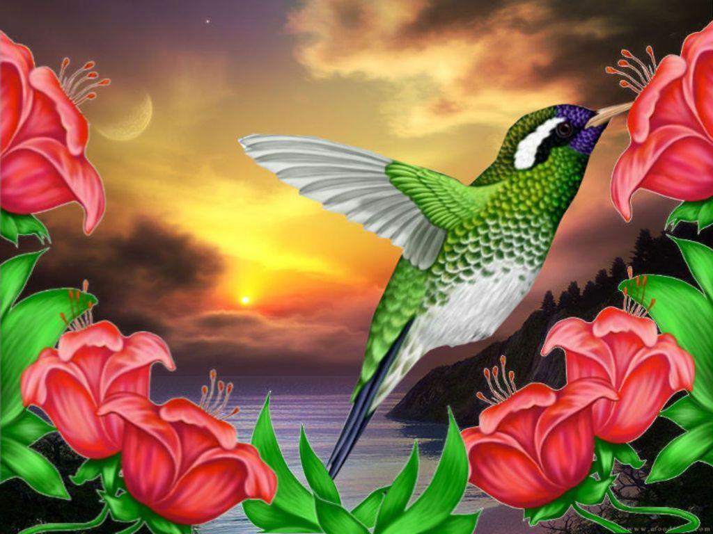 Hummingbird Wallpaper Backgrounds Wallpaper Cave