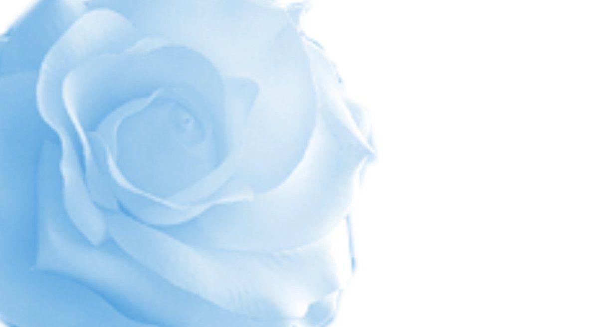 Blue Rose Backgrounds Wallpaper Cave