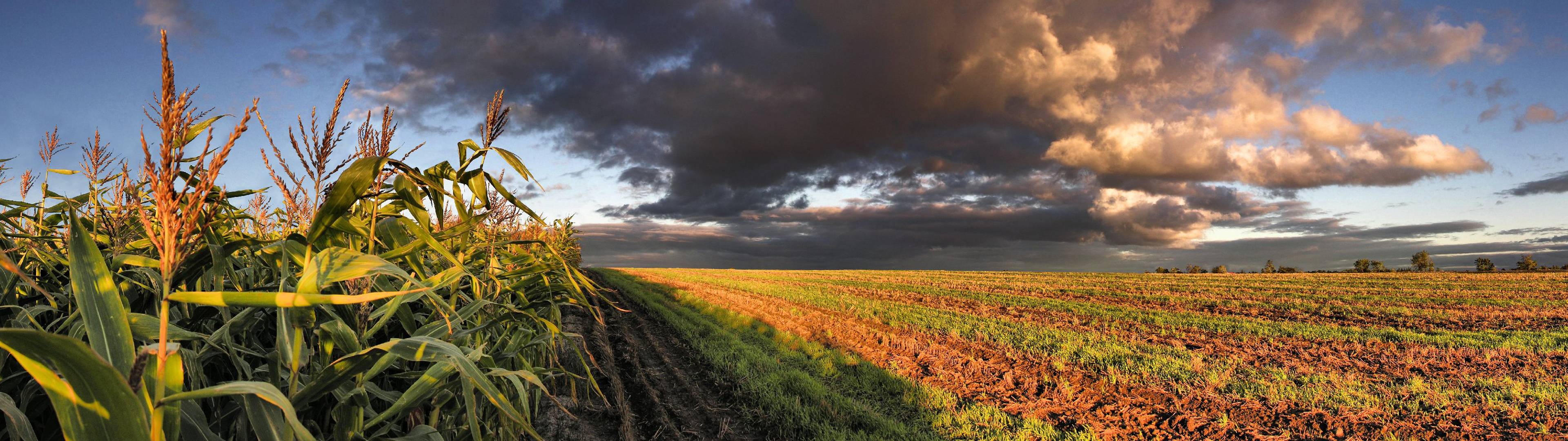 Panoramic Backgrounds Wallpaper Cave