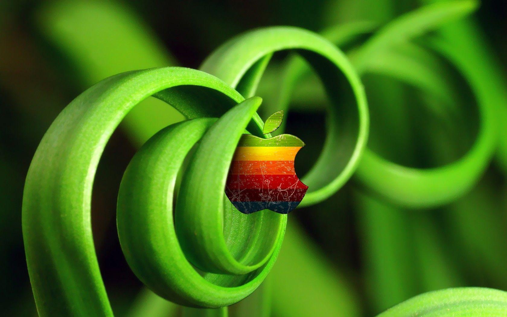 Apple Grass Wallpapers Wallpaper Cave