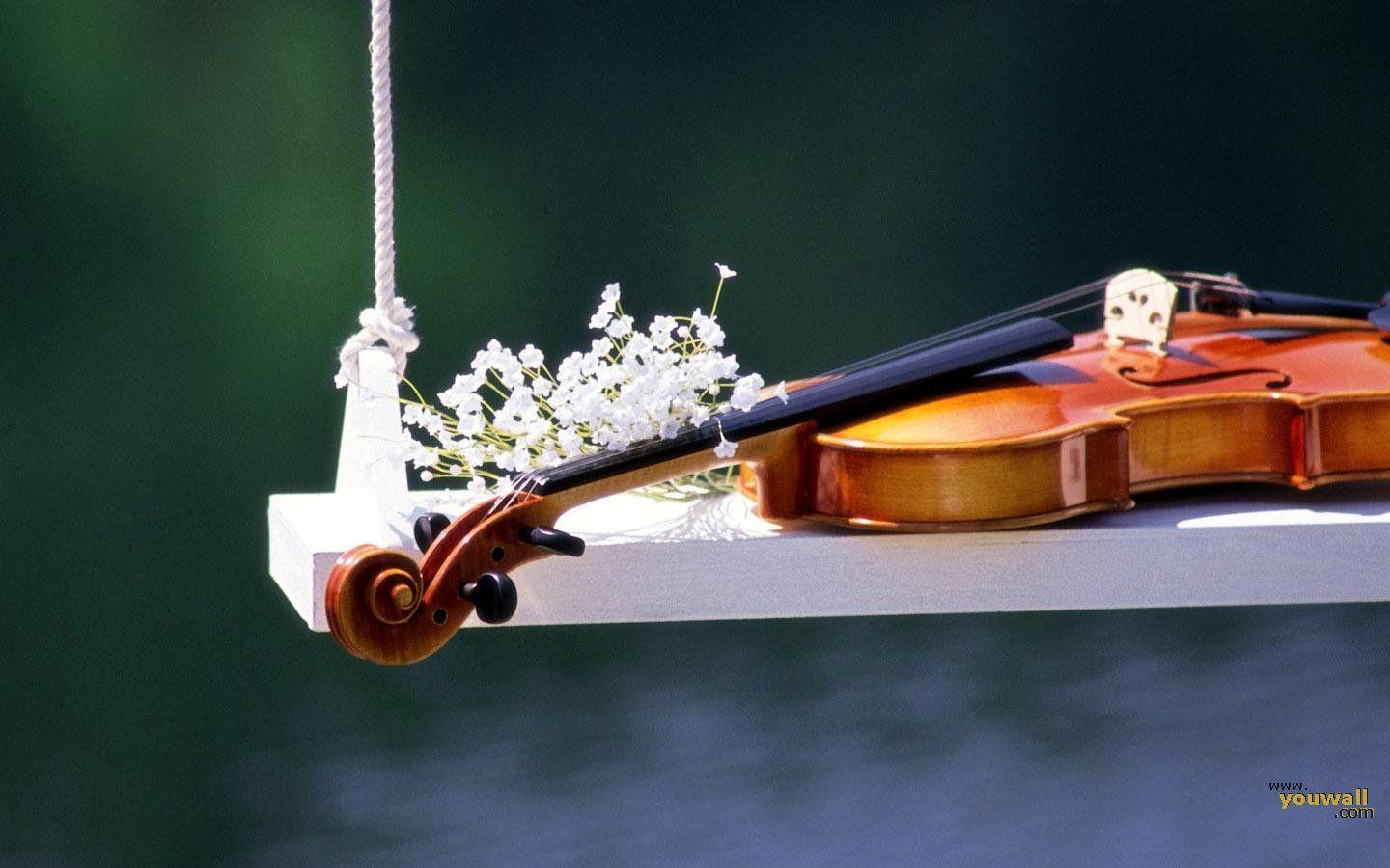 Violin Wallpapers Wallpaper Cave