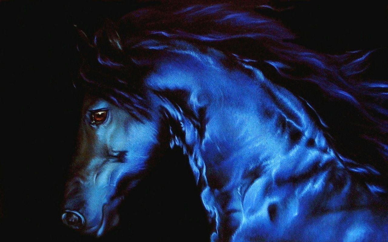 Beautiful Horse Wallpapers Wallpaper Cave