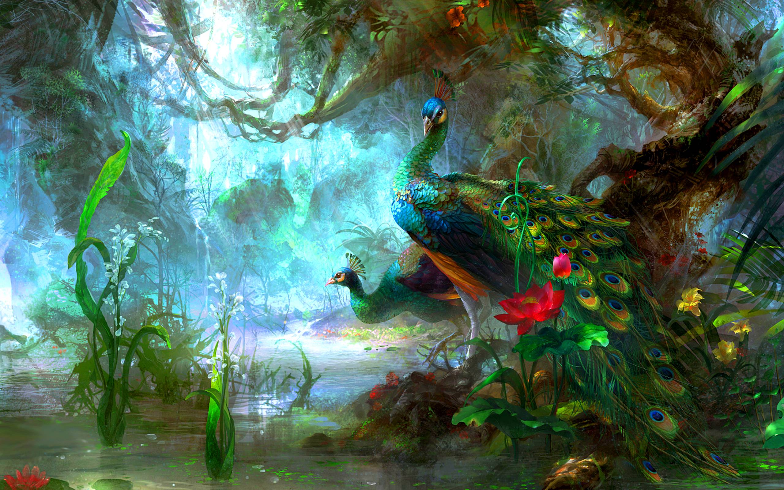 Peacock Wallpapers Wallpaper Cave