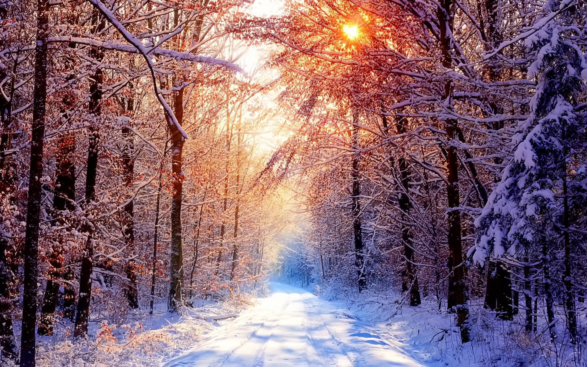 Winter Nature Backgrounds Wallpaper Cave