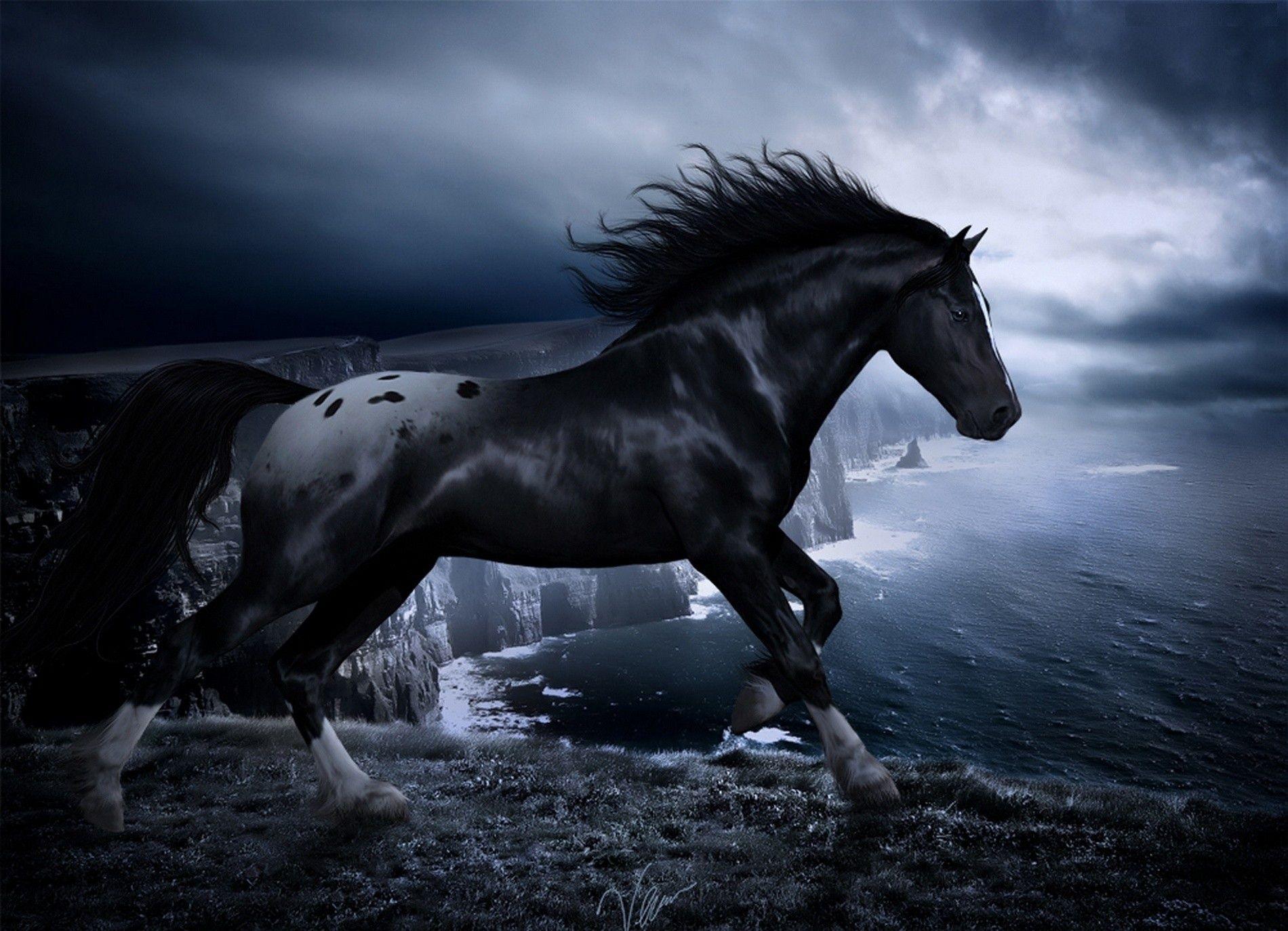Fantasy Horse Wallpapers Wallpaper Cave