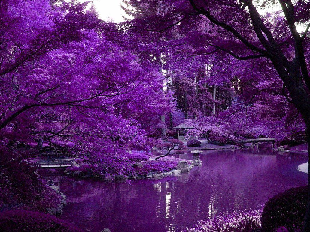 Japanese Gardens Wallpapers Wallpaper Cave