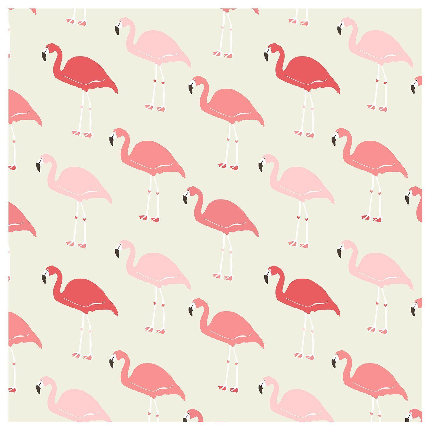 Flamingo Wallpapers Wallpaper Cave