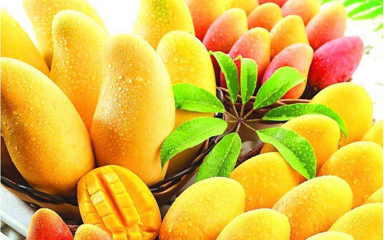 Mango Wallpapers Hd - Wallpaper Cave