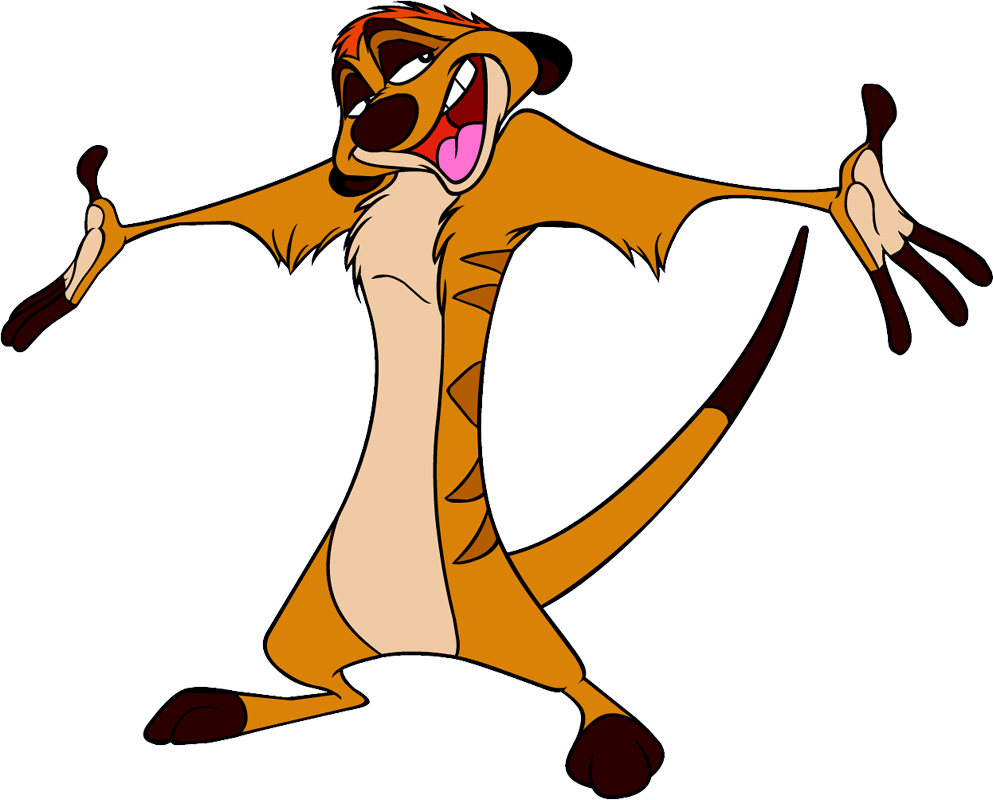 Timon Wallpapers Wallpaper Cave