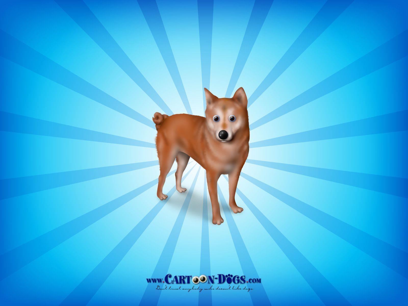 Shiba Inu Wallpapers Wallpaper Cave