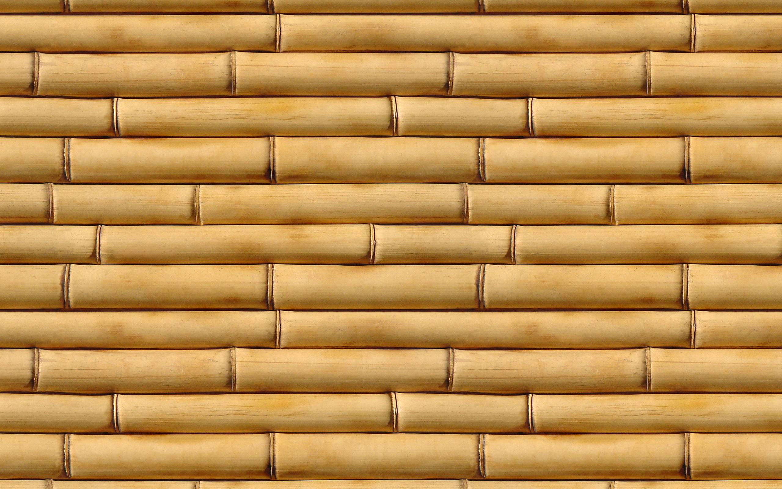 Wallpapers Bamboo Wallpaper Cave