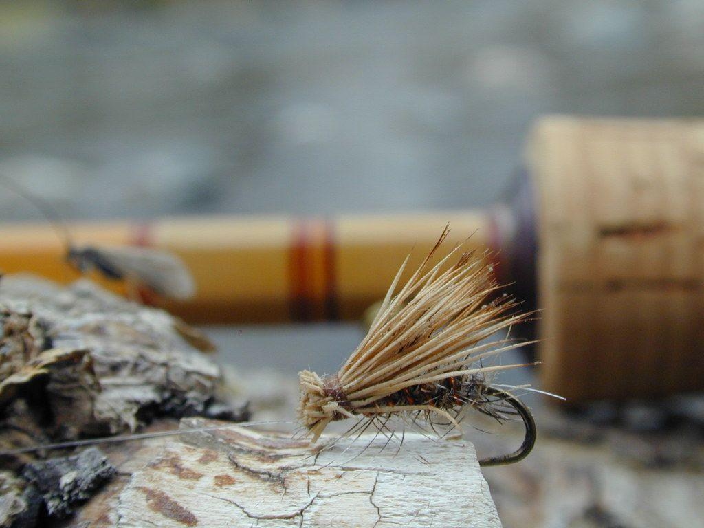 Fly Fishing Wallpapers Wallpaper Cave