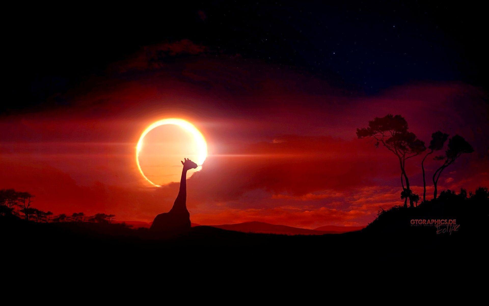 Lunar Eclipse Wallpapers Wallpaper Cave