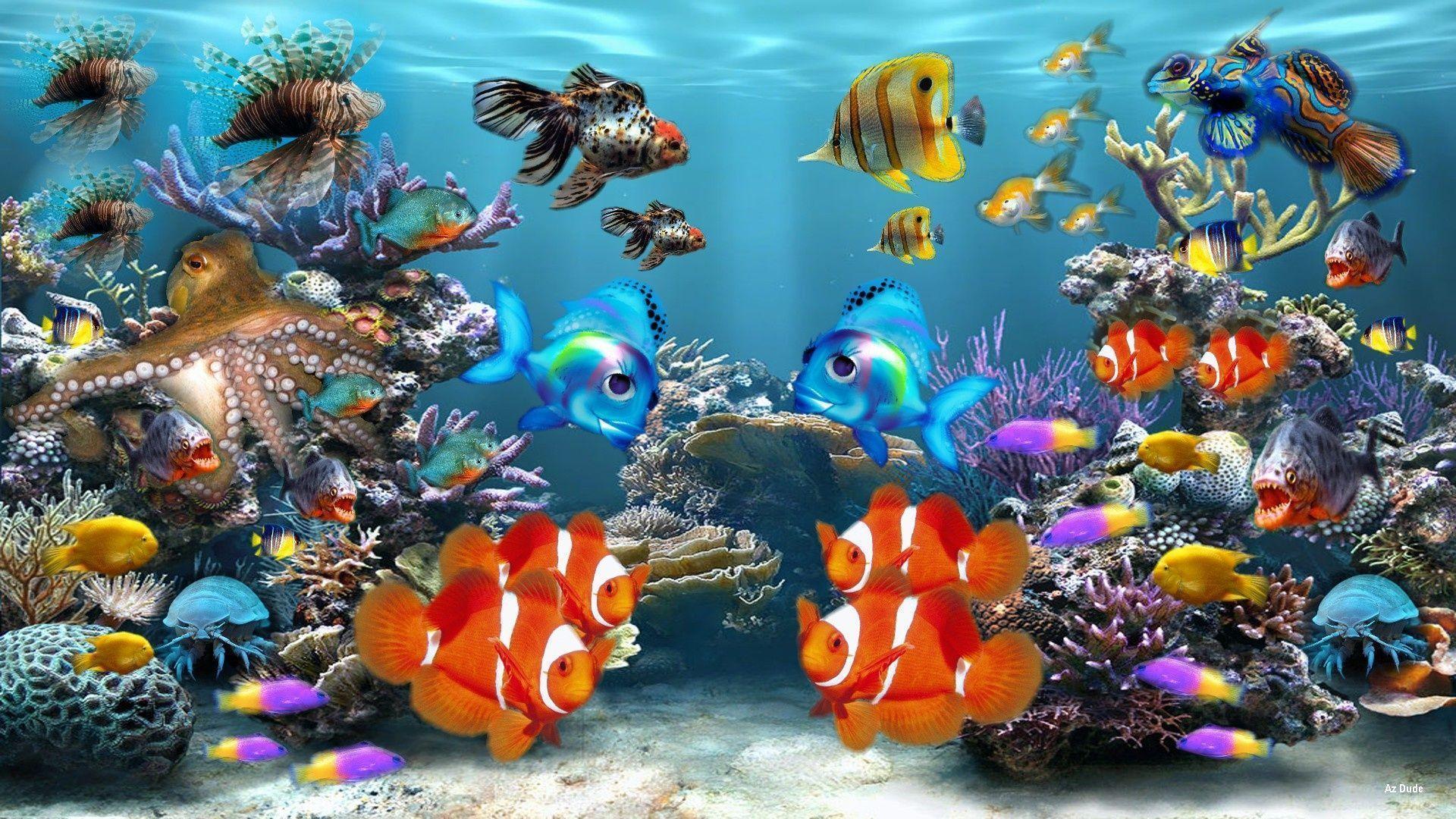 Tropical Fish Backgrounds Wallpaper Cave