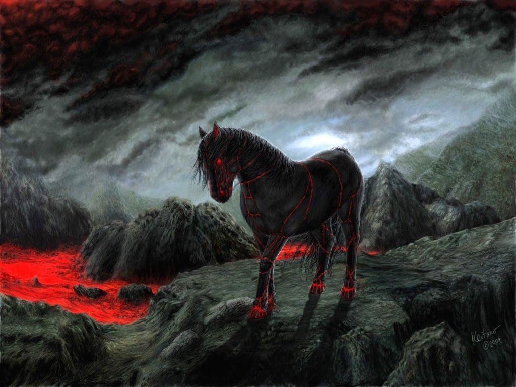 Black Horse Wallpapers Wallpaper Cave