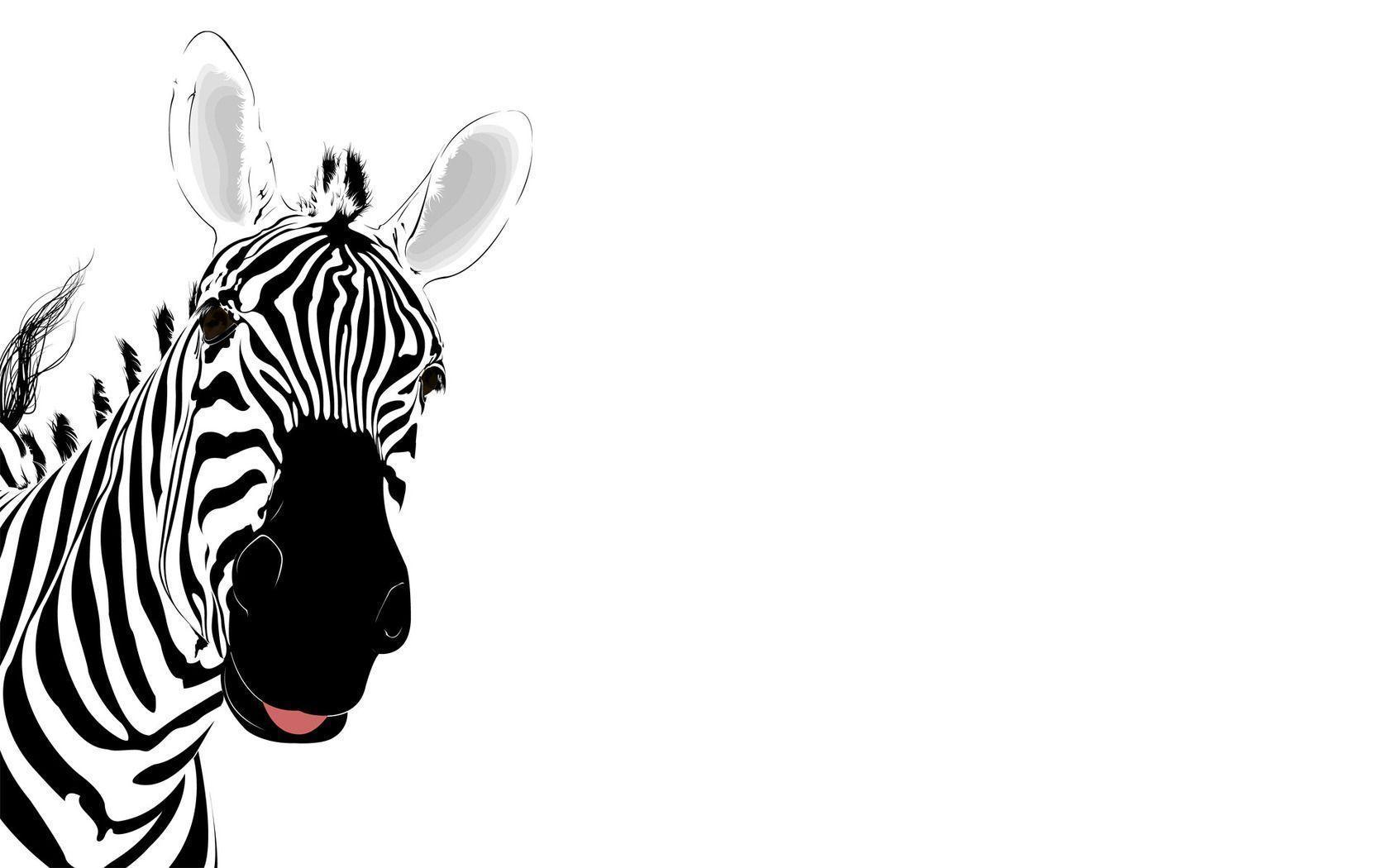 Zebra Backgrounds Wallpaper Cave