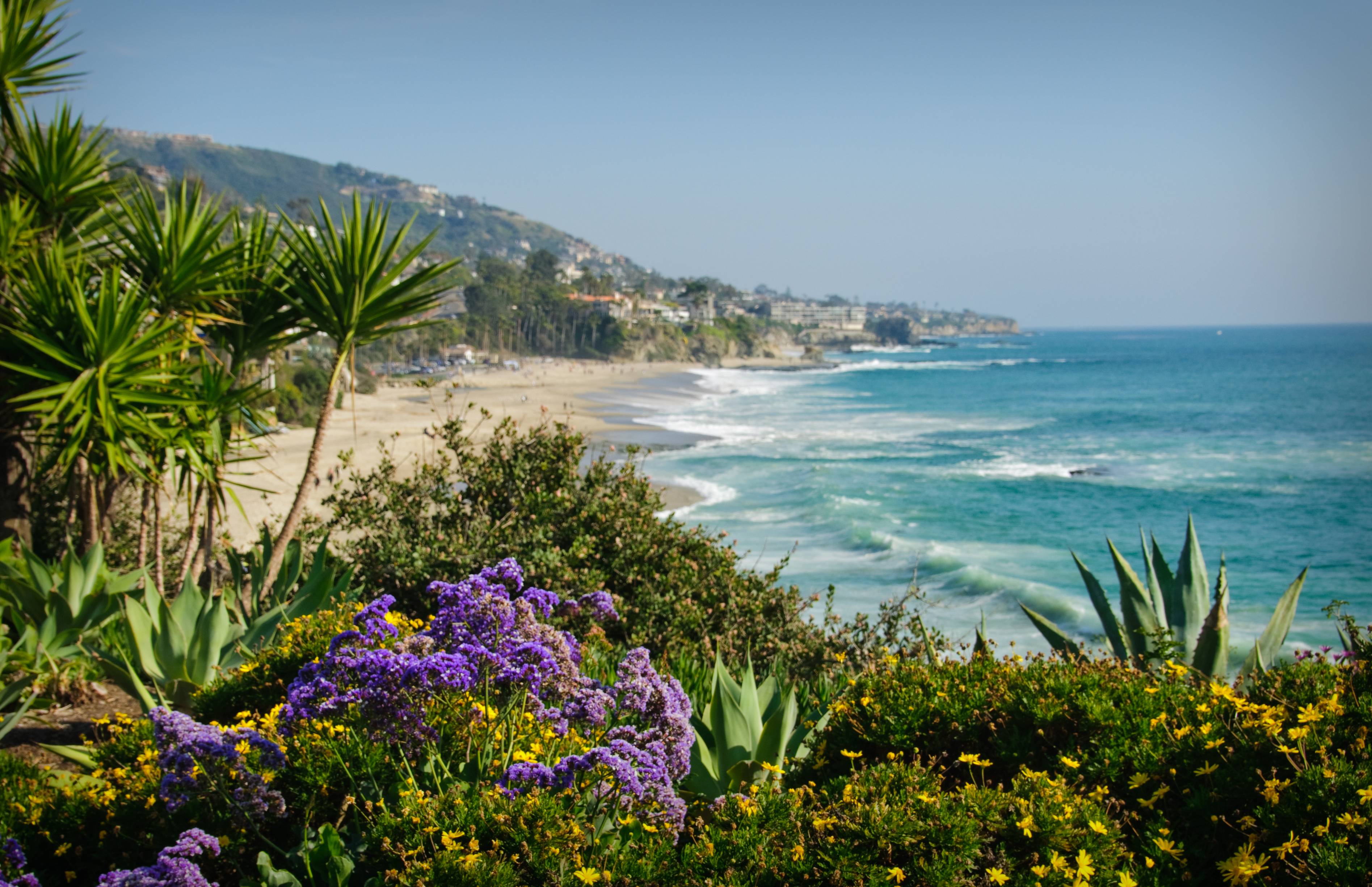 Laguna Beach Wallpapers Wallpaper Cave