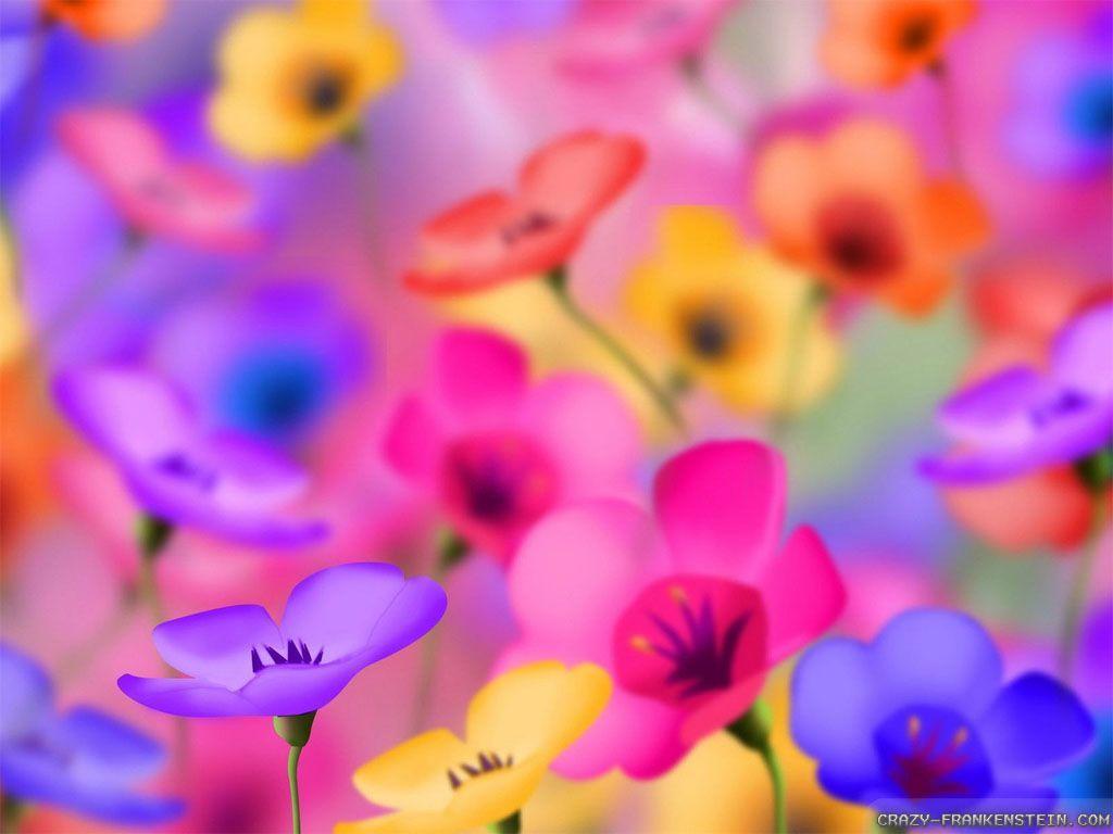 Colorful Flower Wallpapers Wallpaper Cave