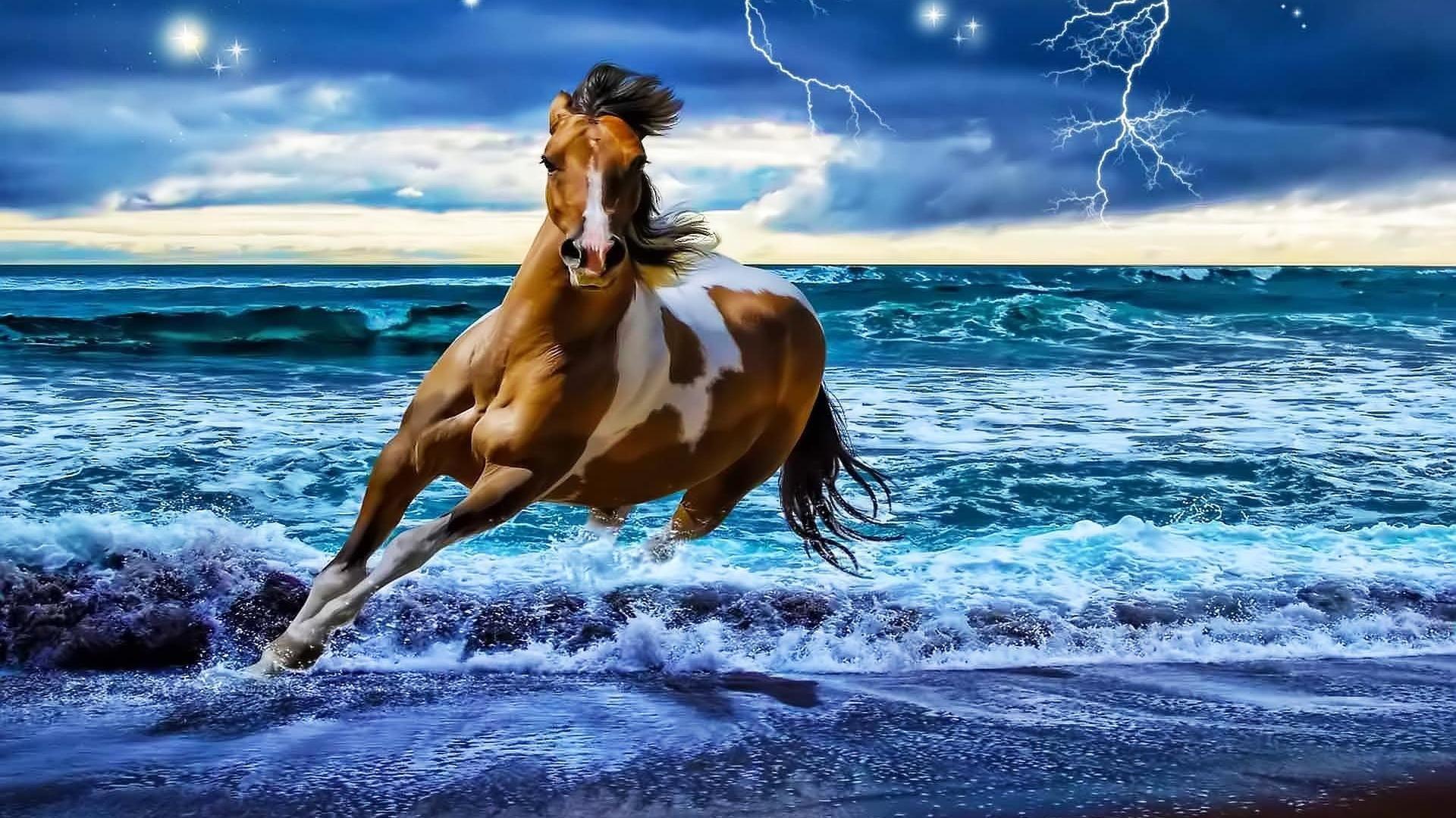 Fantasy Horse Wallpapers Wallpaper Cave