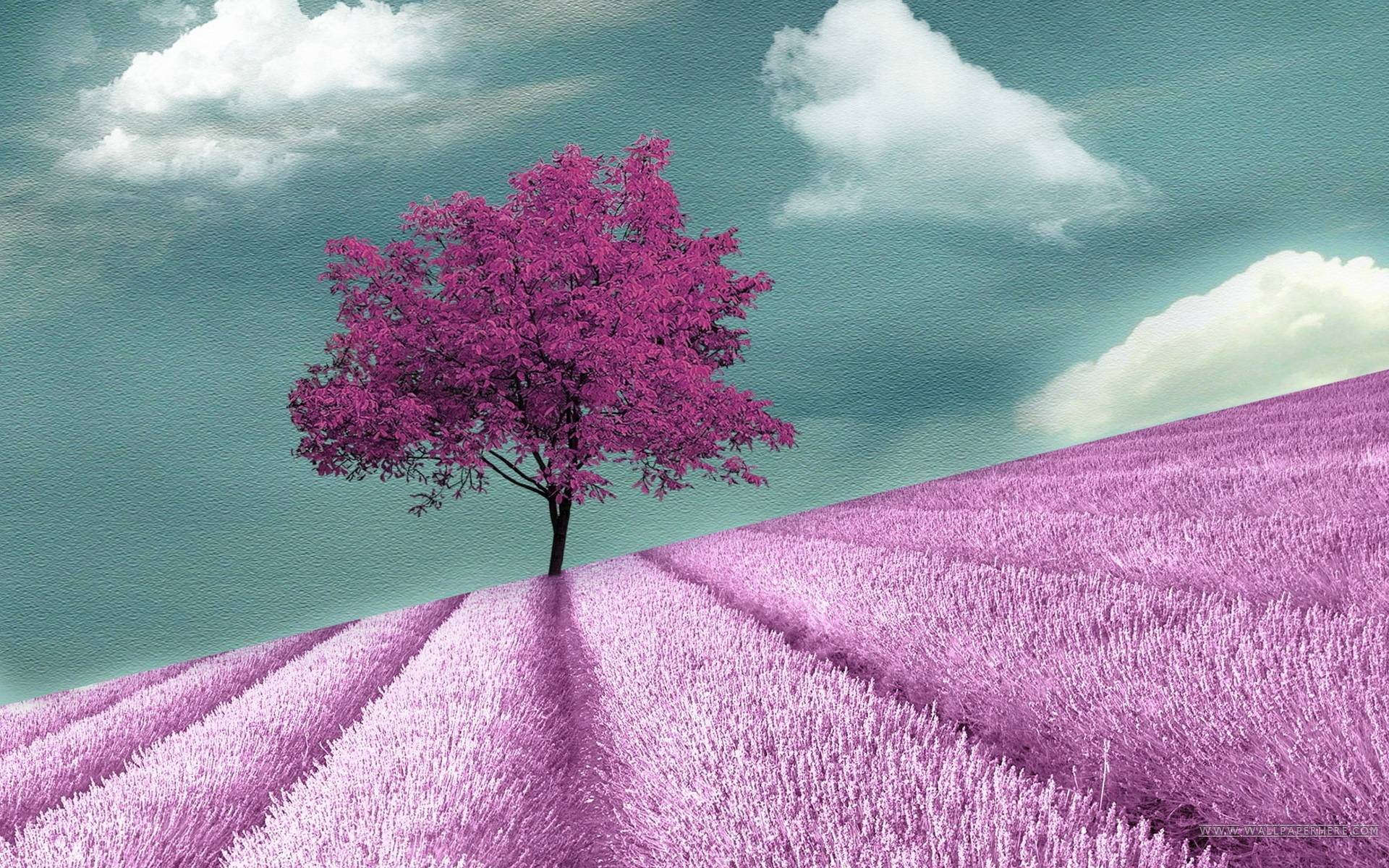 Purple Tree Wallpapers Wallpaper Cave