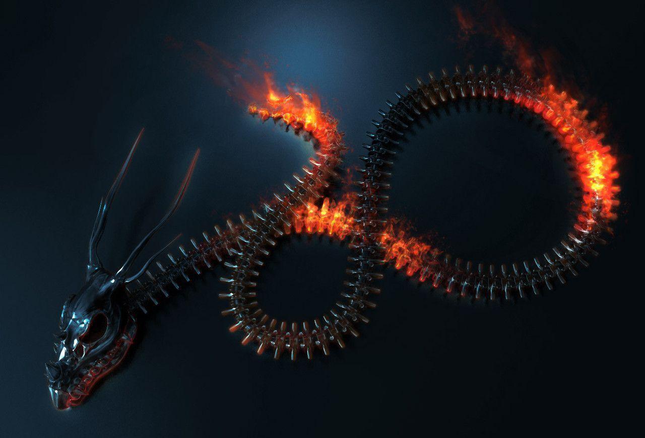 Abstract Dragon Wallpapers Wallpaper Cave