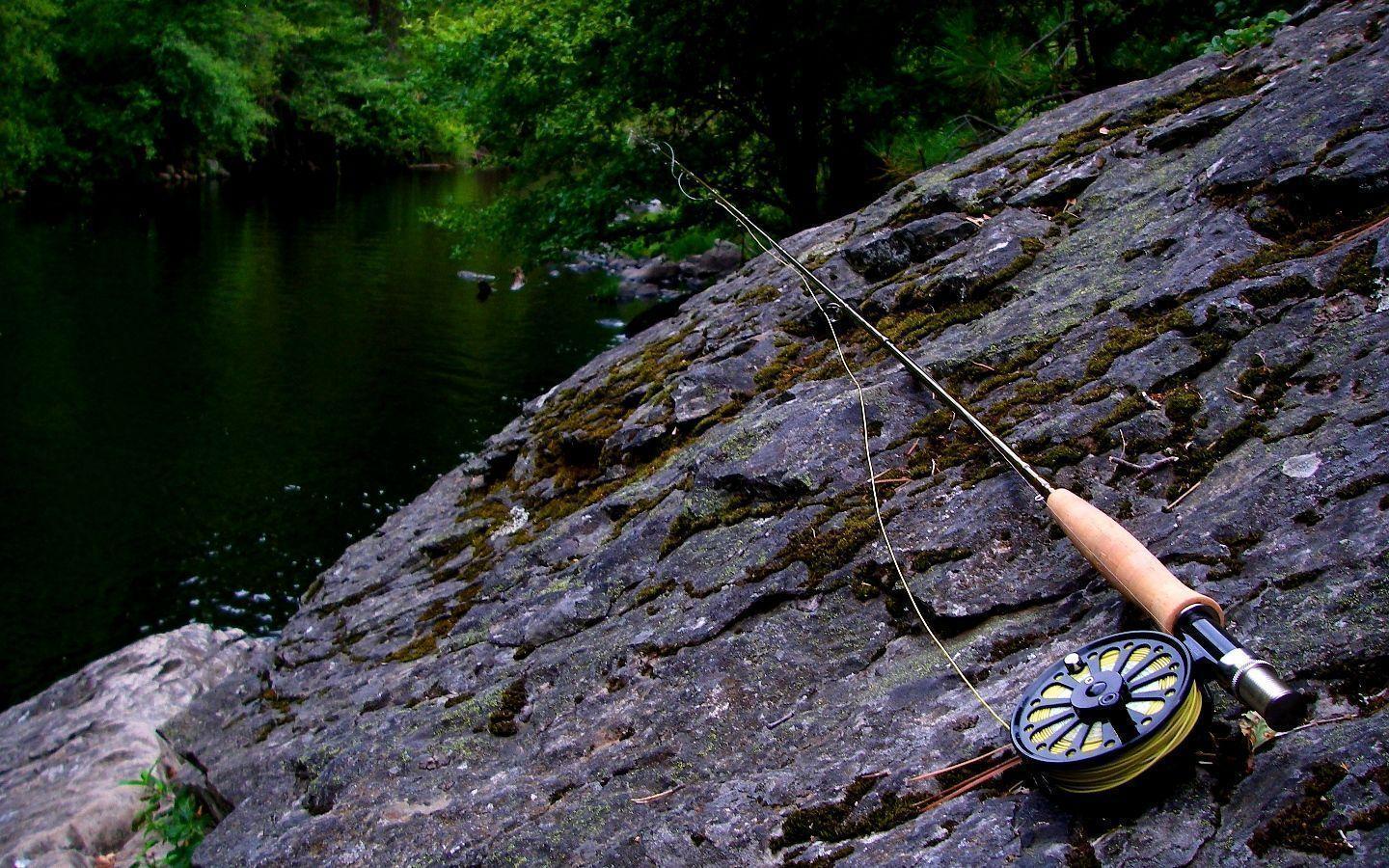 Fly Fishing Wallpapers Wallpaper Cave