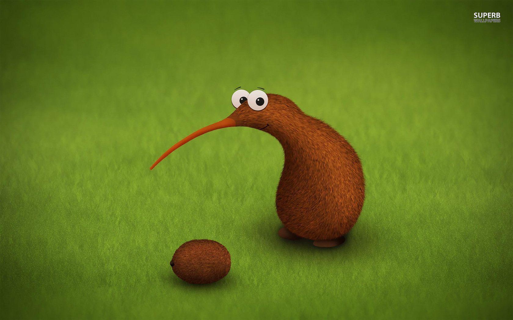 Kiwi Wallpapers Wallpaper Cave