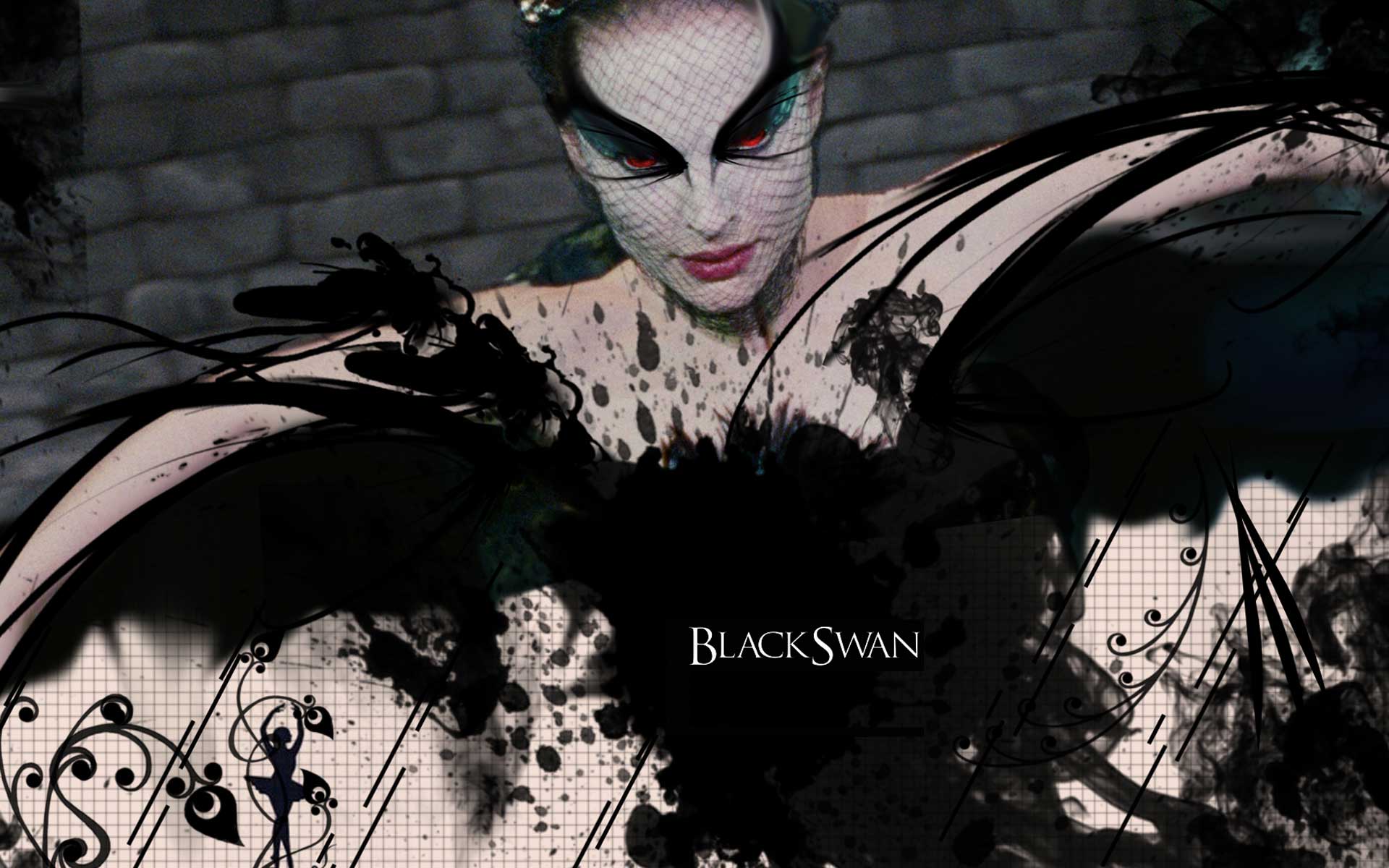 Black Swan Wallpapers Wallpaper Cave