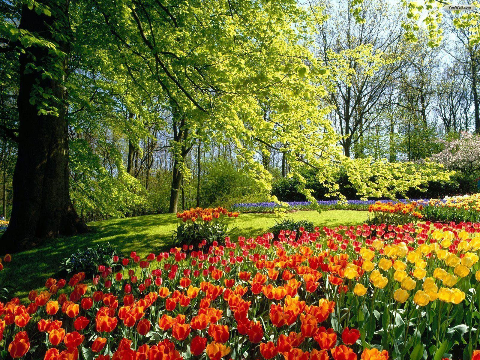 Flower Garden Backgrounds Wallpaper Cave
