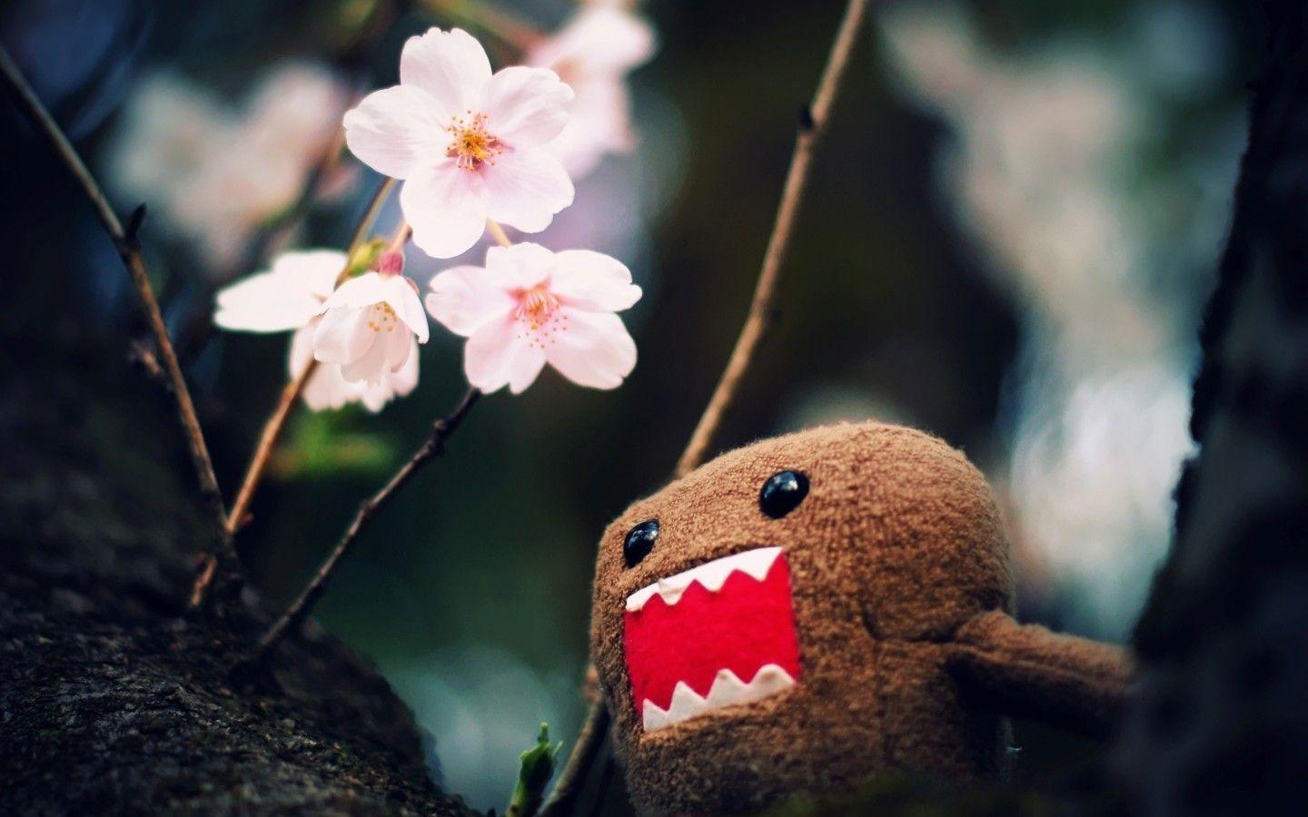 Cute Domo Wallpapers Wallpaper Cave