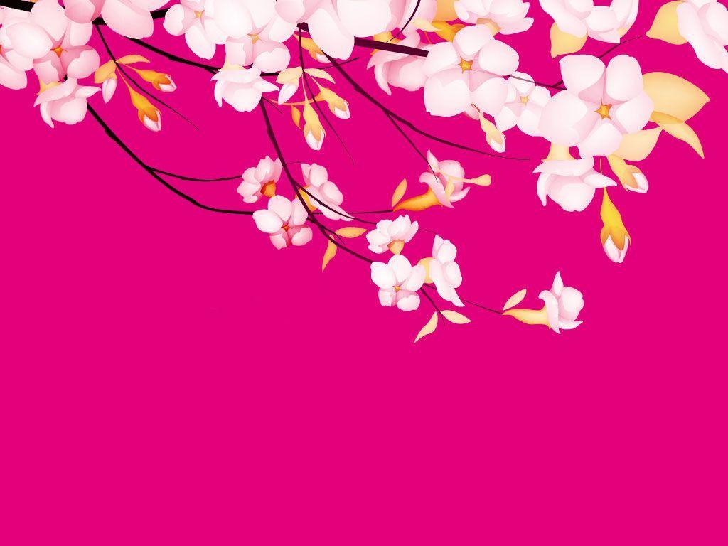 Pink Flower Wallpaper Backgrounds Wallpaper Cave