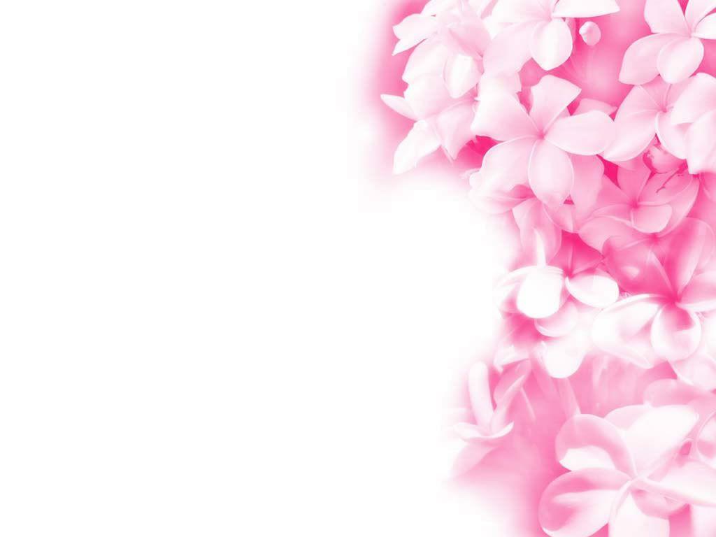 Pink Floral Wallpapers Wallpaper Cave