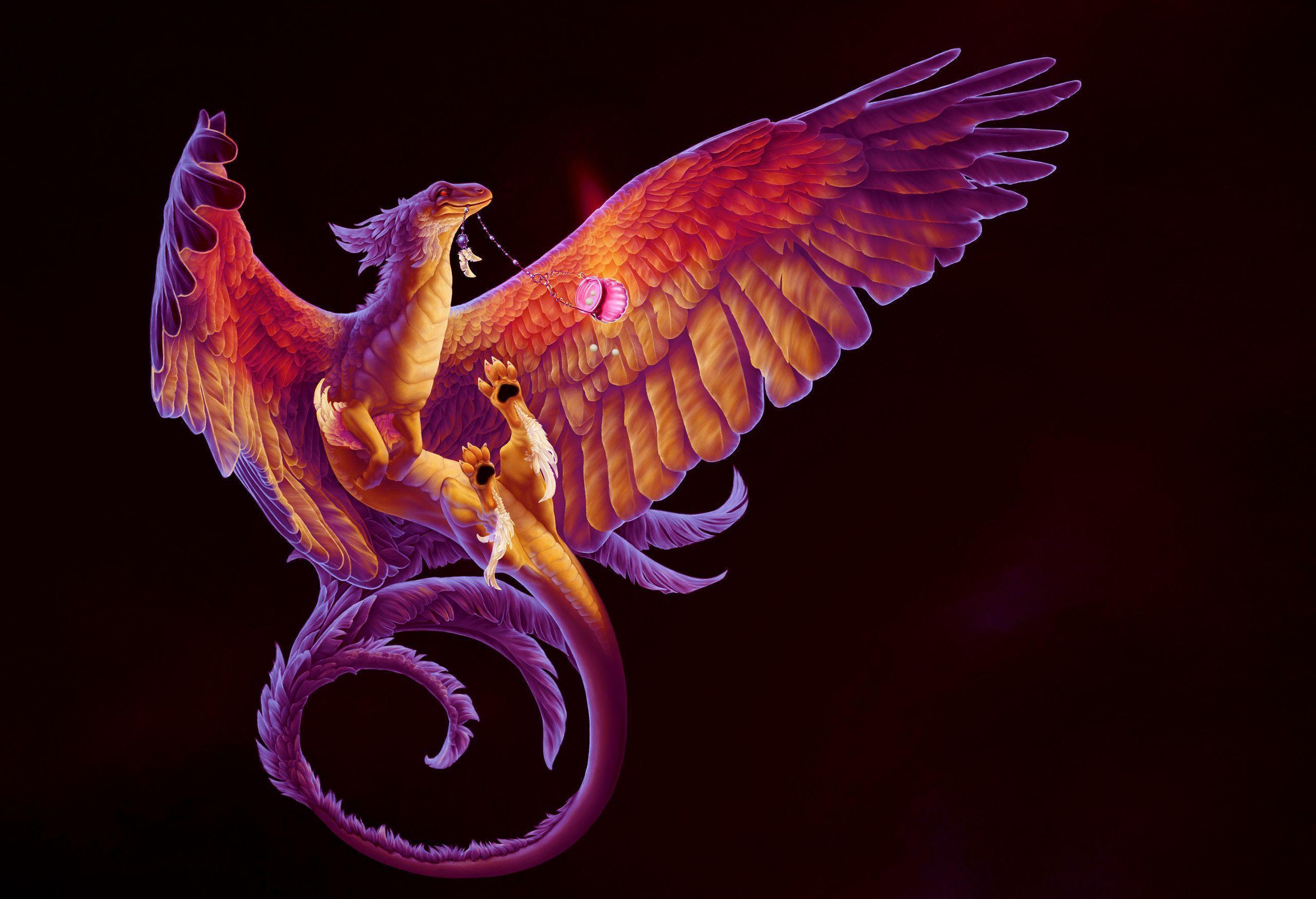 Abstract Dragon Wallpapers Wallpaper Cave