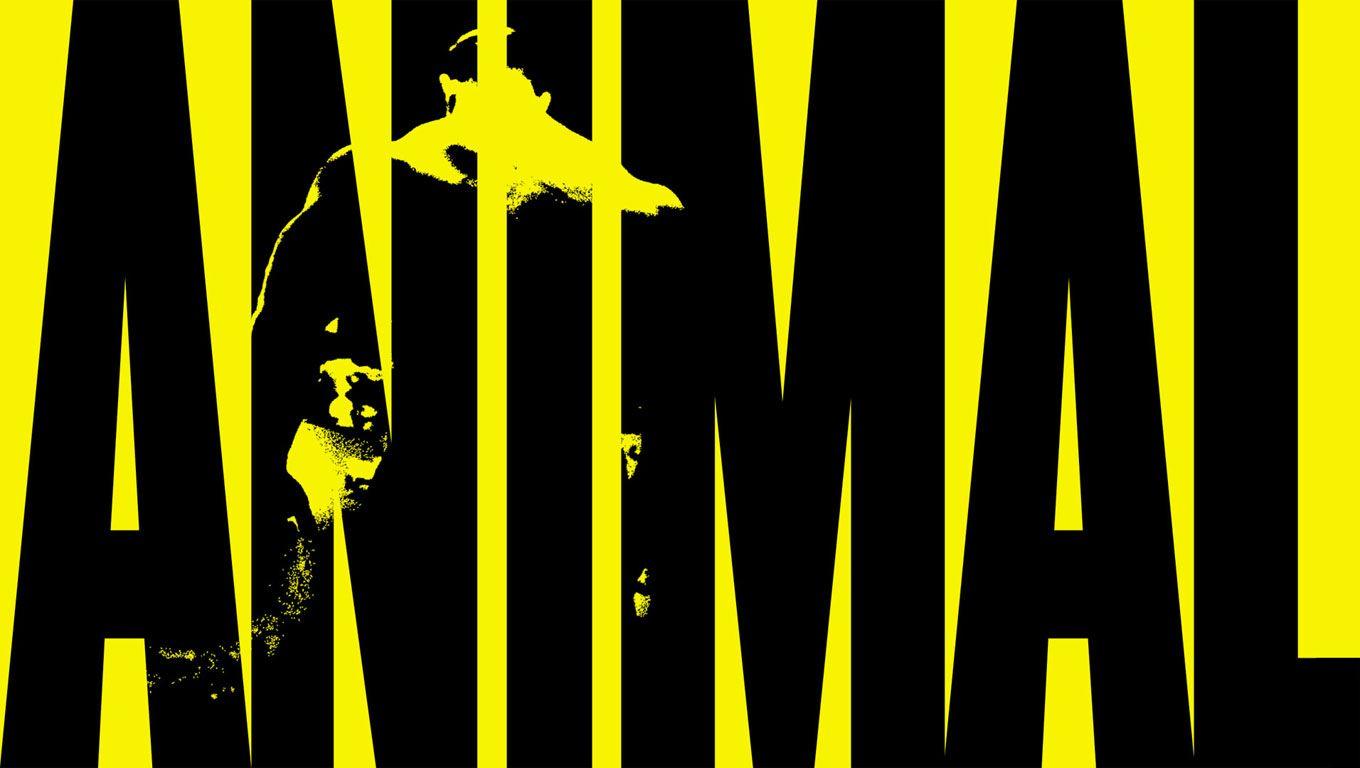 Animal Pak Wallpapers Wallpaper Cave