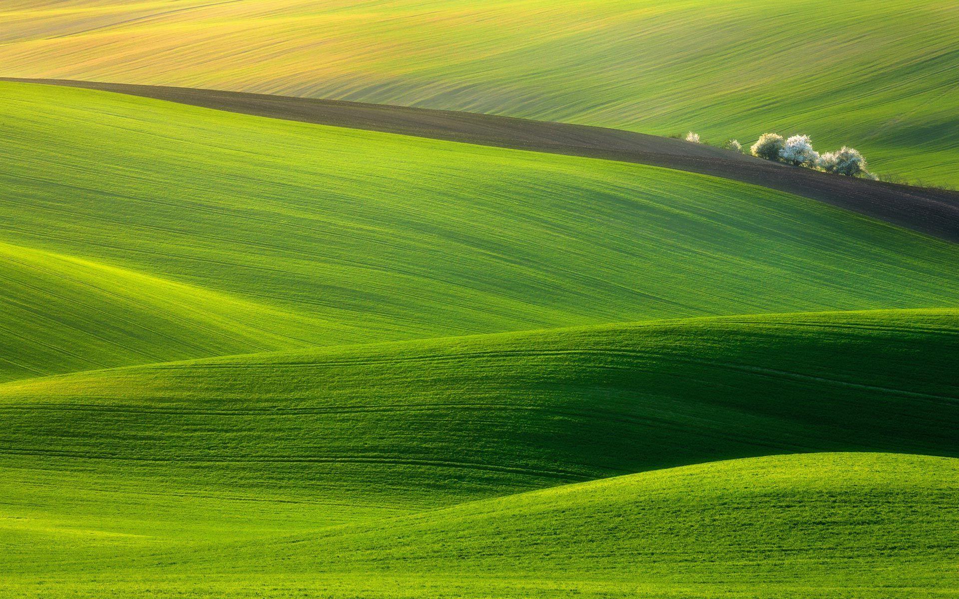 Green Hills Wallpapers Wallpaper Cave