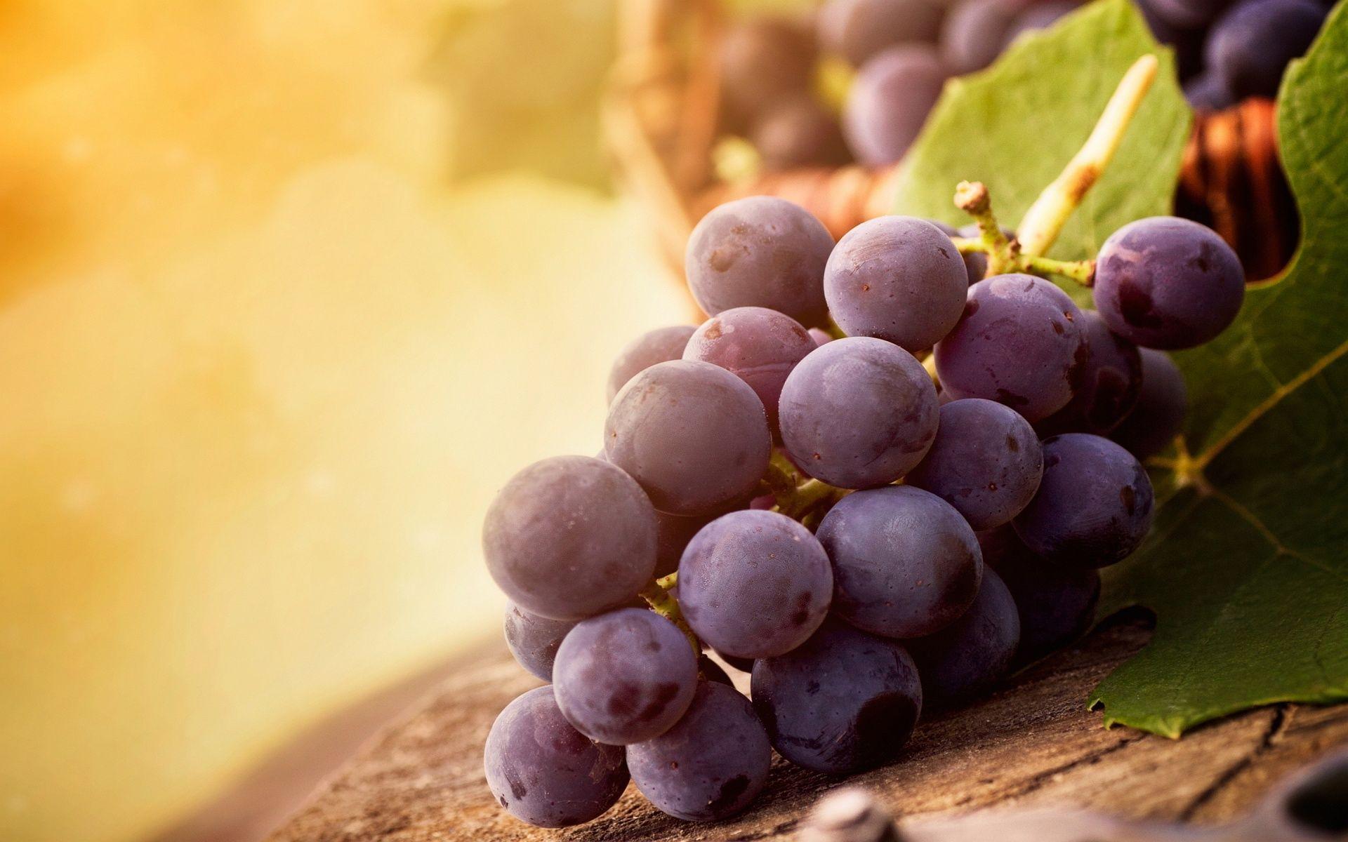 Wallpapers Grapes Wallpaper Cave