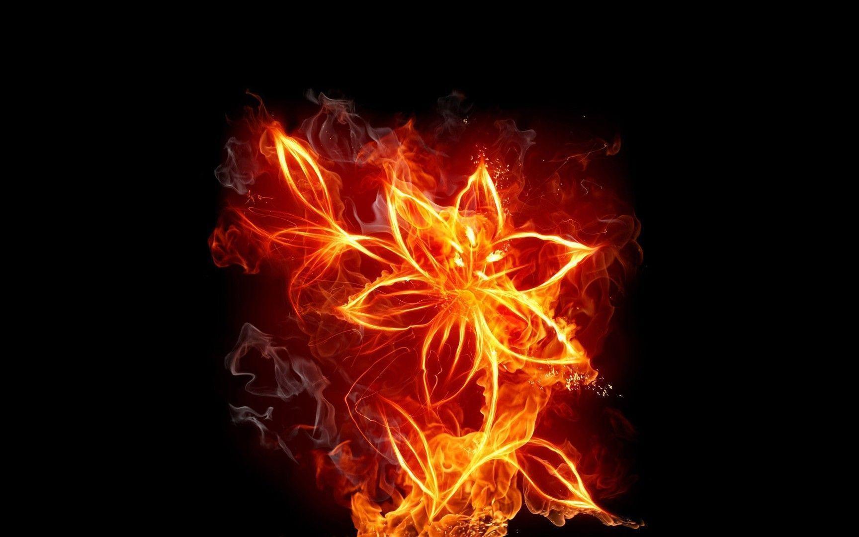 Fire Flower Wallpapers Wallpaper Cave