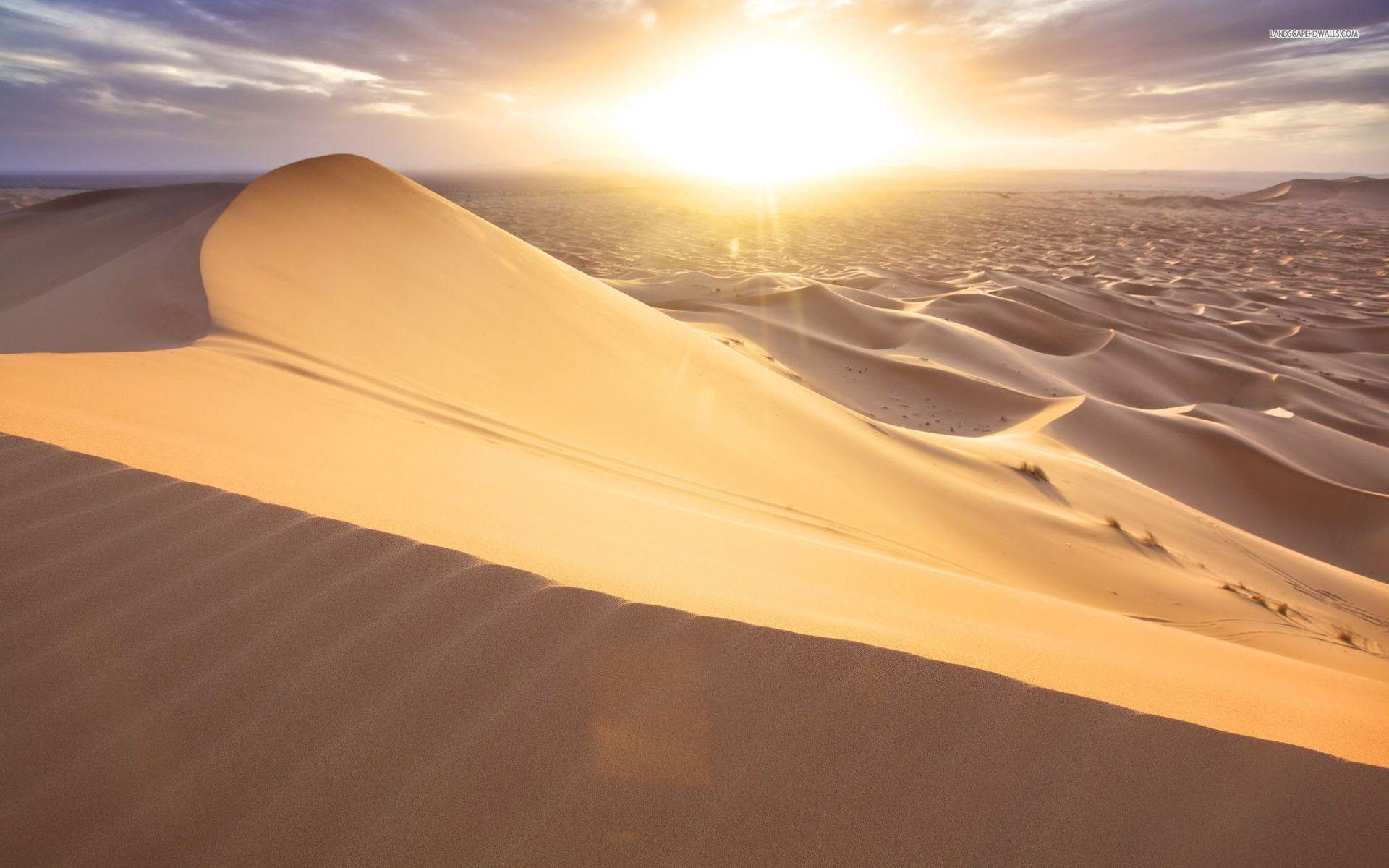 Sand Dunes Wallpapers Wallpaper Cave