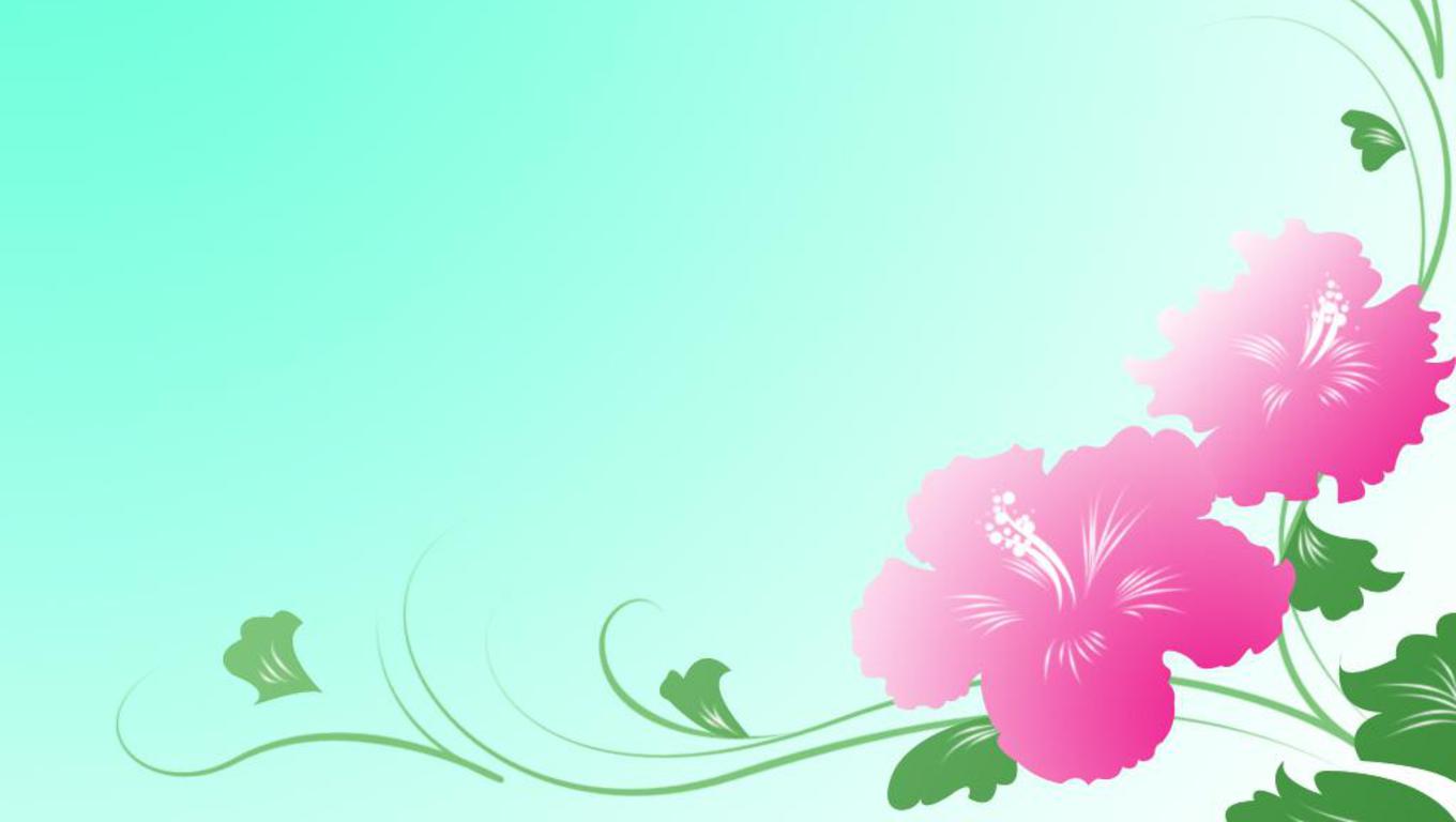 Hibiscus Wallpapers Wallpaper Cave