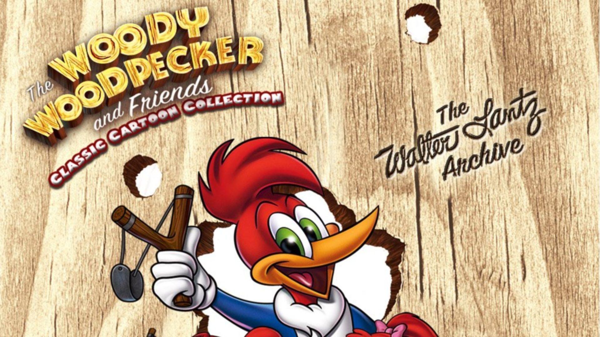 Woody Woodpecker Wallpapers Wallpaper Cave