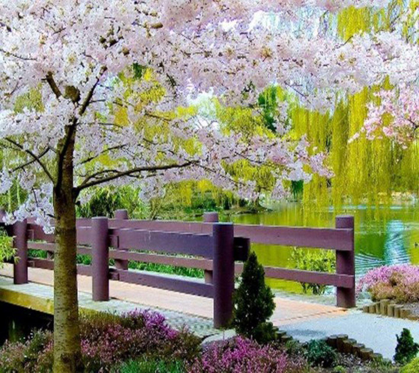 Pretty Nature Wallpapers Wallpaper Cave