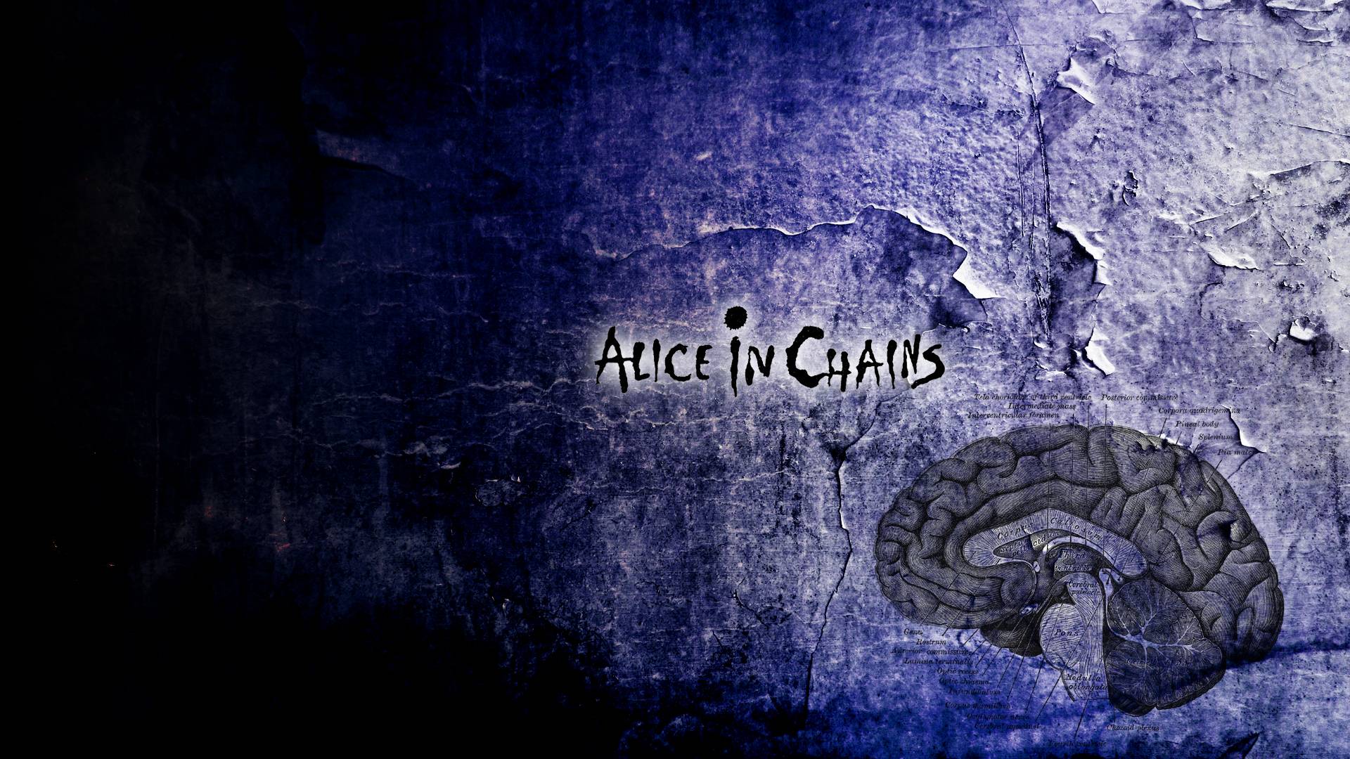 Alice In Chains Wallpapers Wallpaper Cave