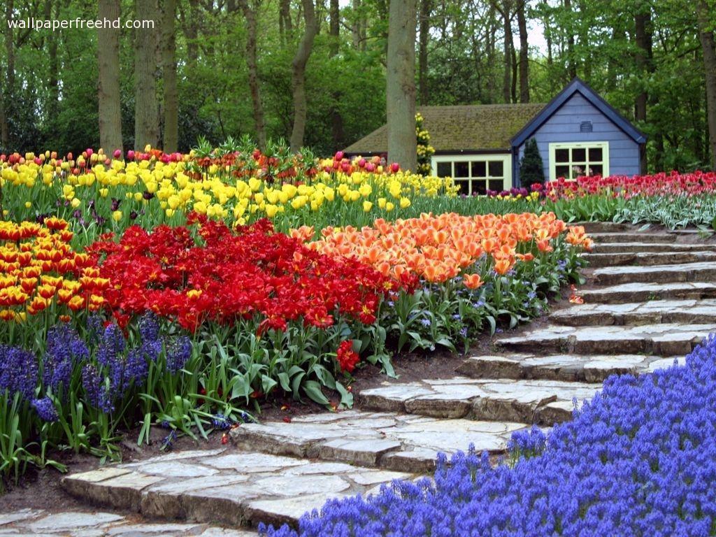 Flower Garden Backgrounds Wallpaper Cave