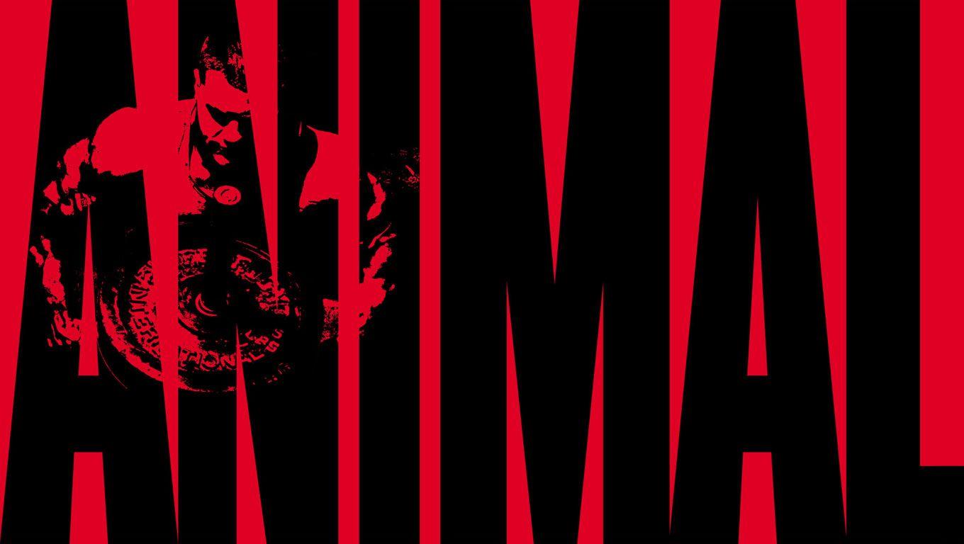 Animal Pak Wallpapers Wallpaper Cave