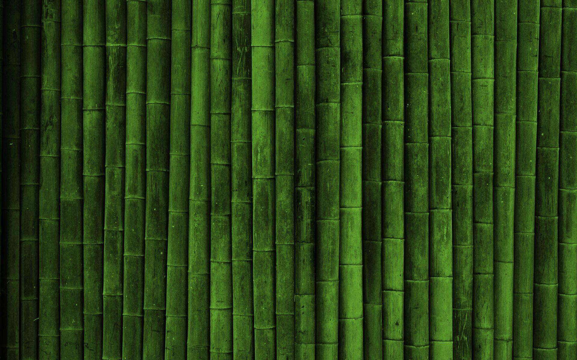 Bamboo Backgrounds Image Wallpaper Cave