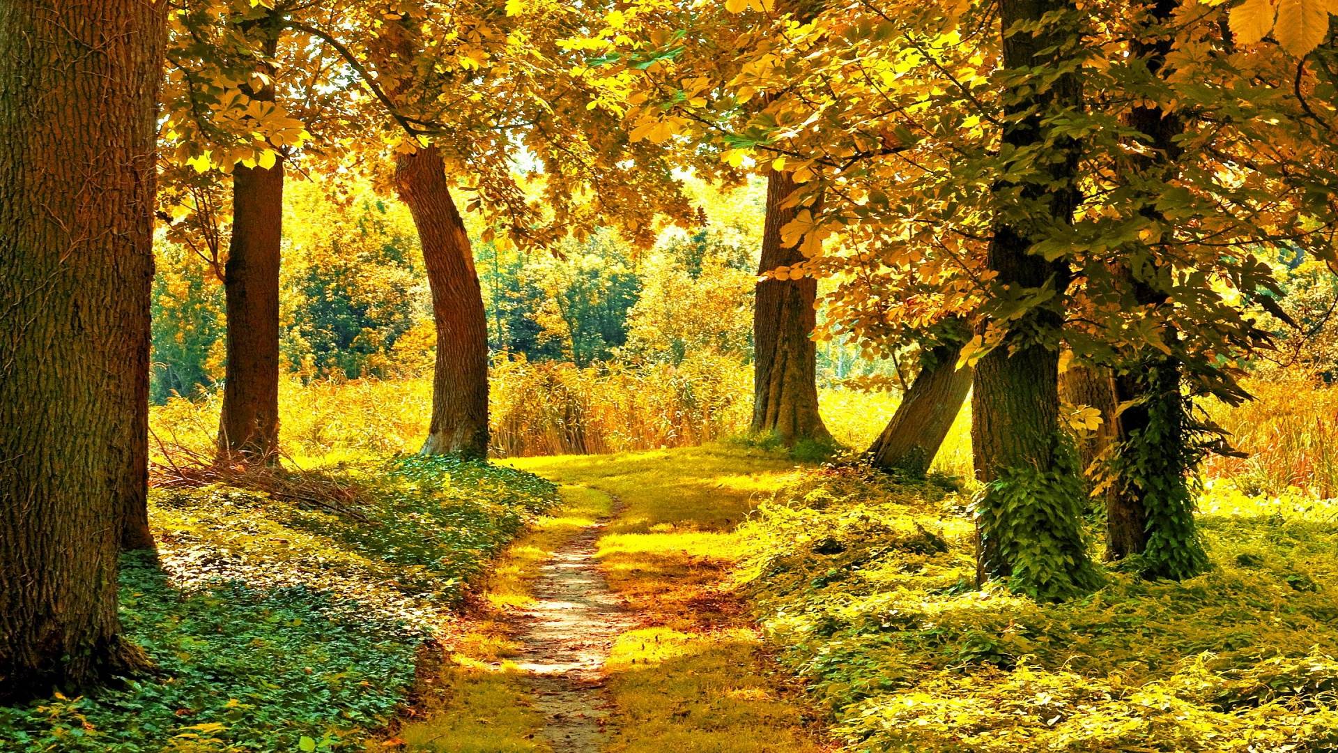 Autumn Landscape Wallpapers Wallpaper Cave