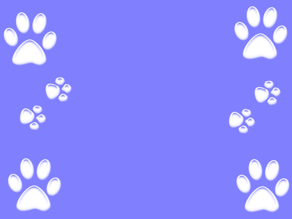 Paw Print Wallpapers Wallpaper Cave