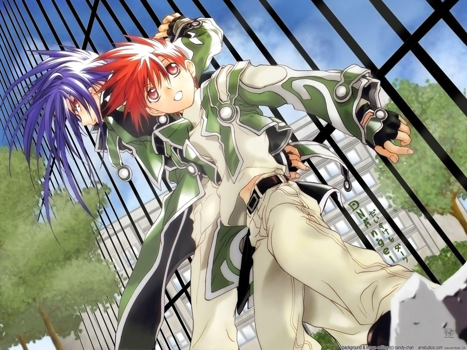 CARDIGAN N N D Elections PEI