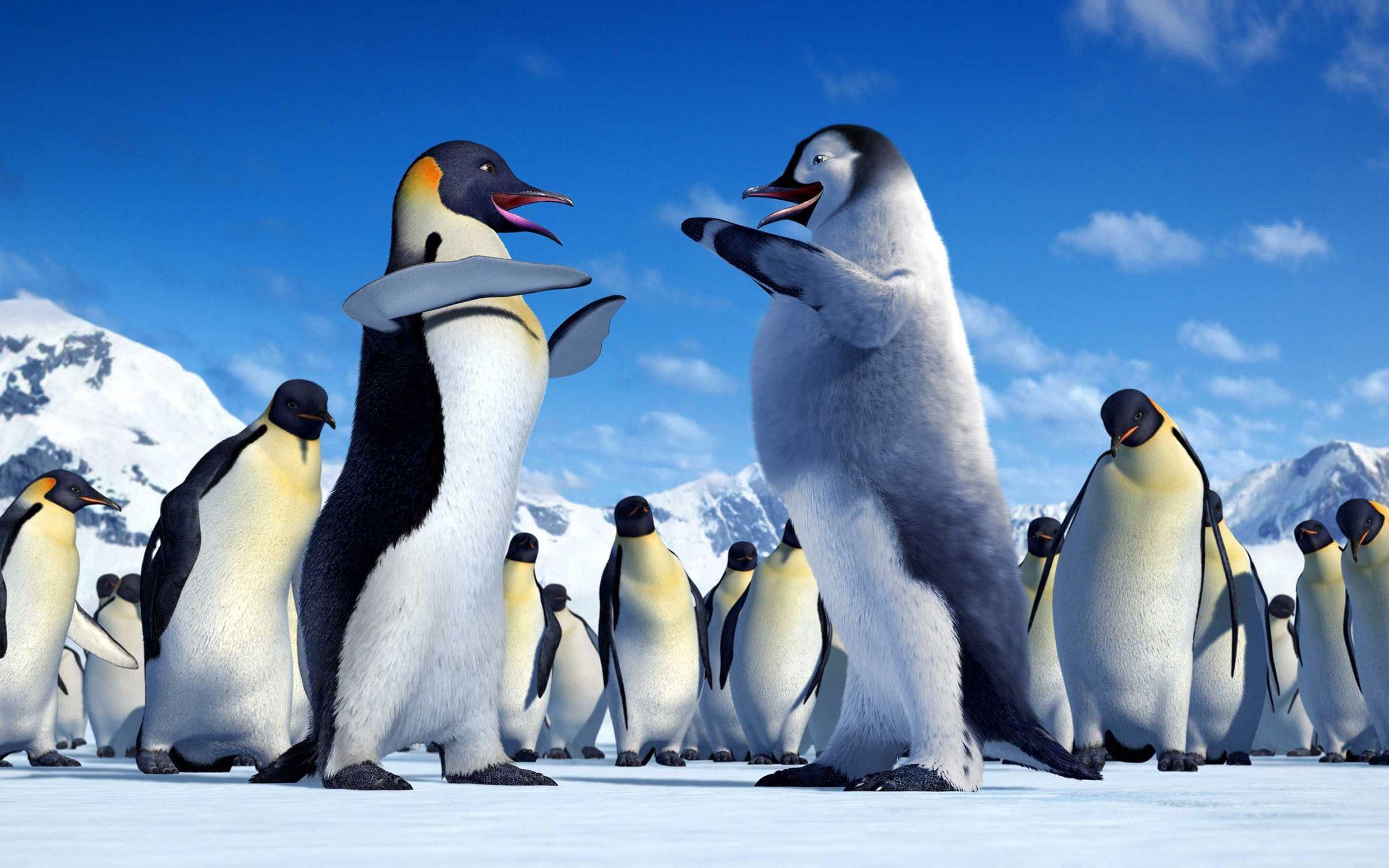 Happy Feet Wallpapers Wallpaper Cave